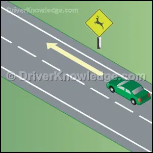 prevent collision with an animal