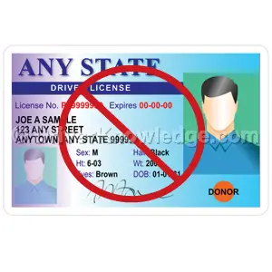 driver license under suspension