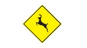 deer frequently cross