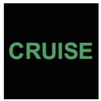 Cruise Control Indicator