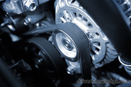 Timing Belts